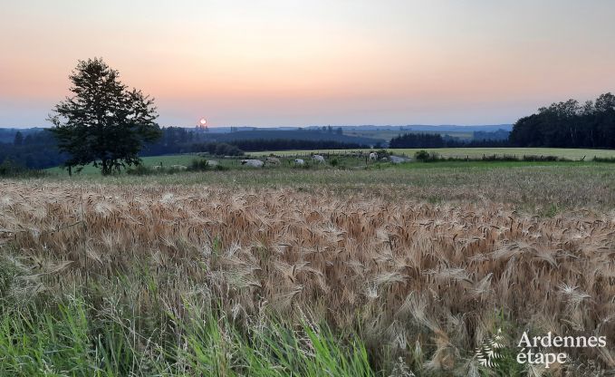 Maison de vacances confortable � Neufch�teau, id�ale pour 15 personnes, avec jacuzzi, sauna et �quipements de jeu