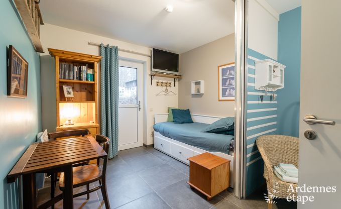 Maison de vacances confortable � Neufch�teau, id�ale pour 15 personnes, avec jacuzzi, sauna et �quipements de jeu