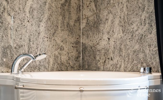 Villa de Luxe � Noiseux pour 12 personnes en Ardenne