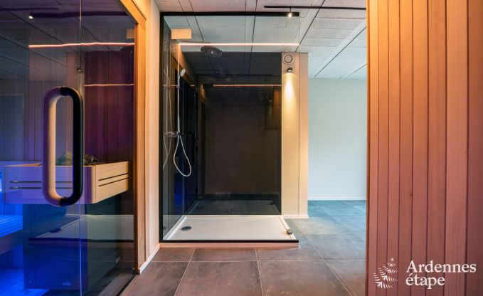 Villa de Luxe � Odeigne pour 21 personnes en Ardenne