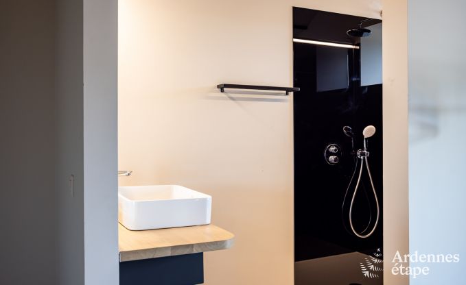 Villa de Luxe � Odeigne pour 21 personnes en Ardenne