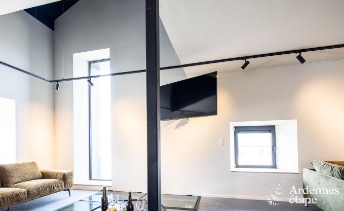 Villa de Luxe � Odeigne pour 21 personnes en Ardenne