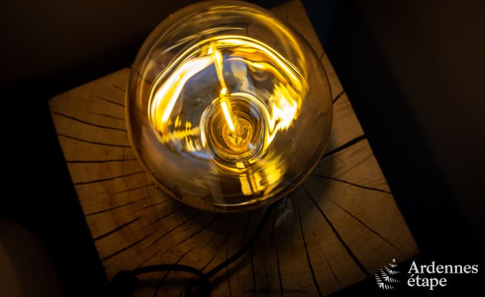 Villa de Luxe � Odeigne pour 21 personnes en Ardenne