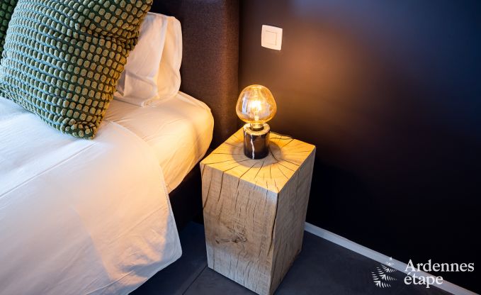 Villa de Luxe � Odeigne pour 21 personnes en Ardenne