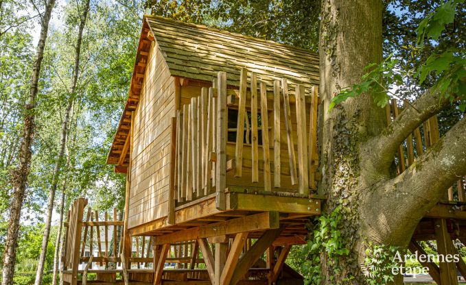 Villa de Luxe  Ohey pour 14 personnes en Ardenne