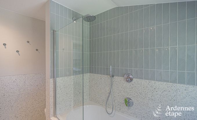 Villa de Luxe  Ohey pour 14 personnes en Ardenne