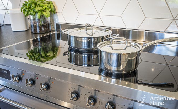 Villa de Luxe � Ohey pour 14 personnes en Ardenne