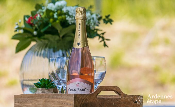 Maison de vacances  Ohey pour 4 personnes en Ardenne