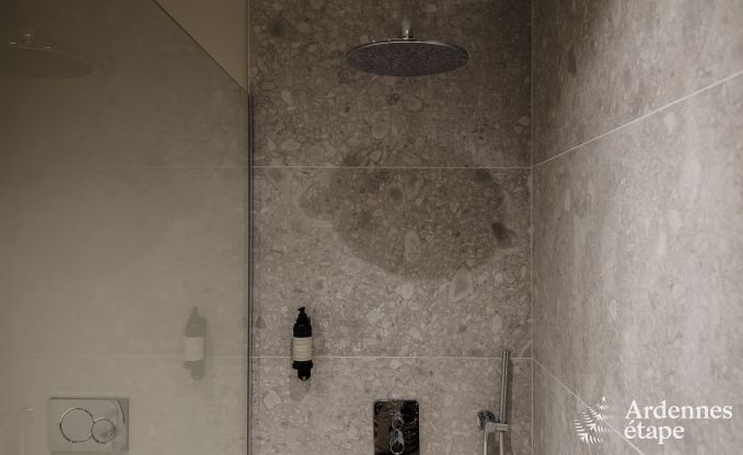 Appartement luxueux pour deux avec piscine dans le magnifique Ohey