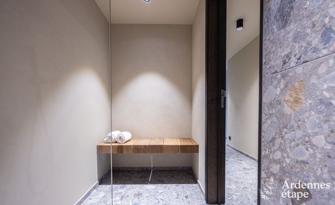 Appartement luxueux pour deux avec piscine dans le magnifique Ohey