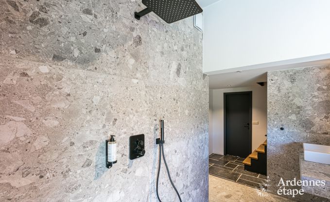 Appartement luxueux pour deux avec piscine dans le magnifique Ohey