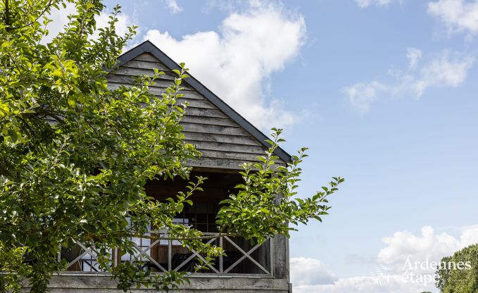 Appartement luxueux pour deux avec piscine dans le magnifique Ohey