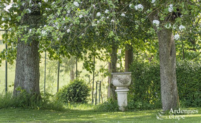 Maison de vacances avec tennis  Onhaye pour 2/3 personnes en Ardenne