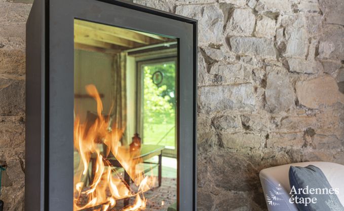 Maison de vacances avec tennis  Onhaye pour 2/3 personnes en Ardenne