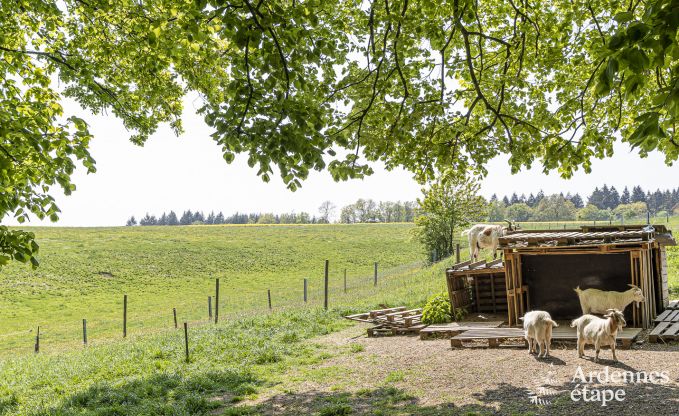 Maison de vacances avec tennis  Onhaye pour 2/3 personnes en Ardenne