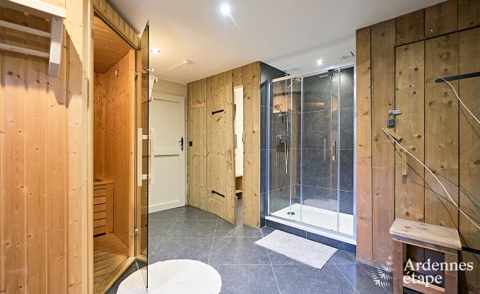 Maison de vacances � Onhaye avec piscine, jacuzzi, sauna et salles de jeux pour 14 personnes pr�s de Dinant