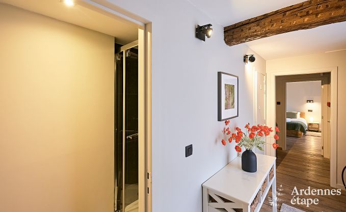 Maison de vacances � Onhaye avec piscine, jacuzzi, sauna et salles de jeux pour 14 personnes pr�s de Dinant