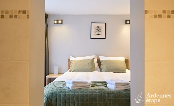 Maison de vacances � Onhaye avec piscine, jacuzzi, sauna et salles de jeux pour 14 personnes pr�s de Dinant