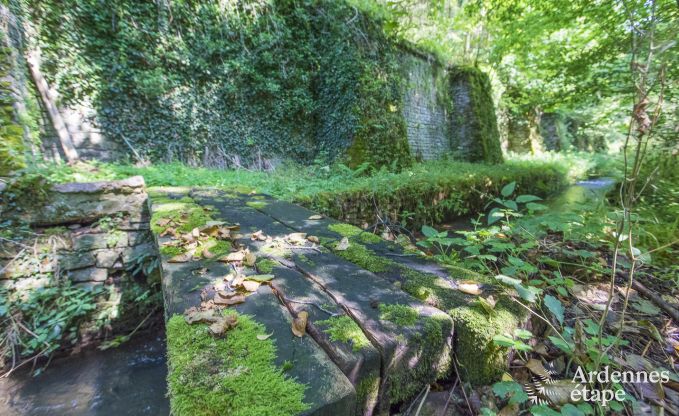Maison de vacances � Orval pour 12 personnes en Ardenne