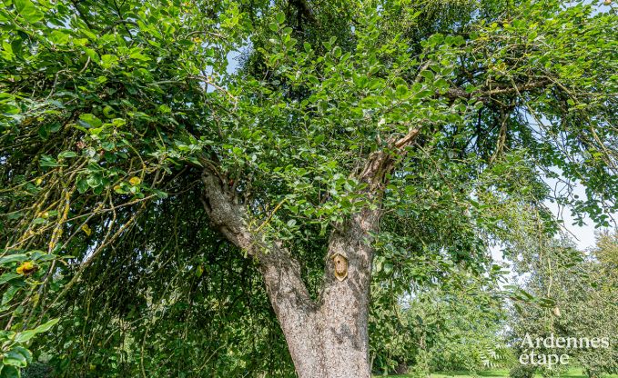 Maison de vacances  Oteppe pour 6/7 personnes en Ardenne