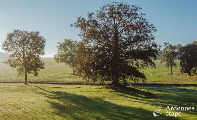 Chteau de luxe pour 30 personnes  Ouffet avec 14 chambres, 12 salles de bains, piscine intrieure, sauna et jardin priv
