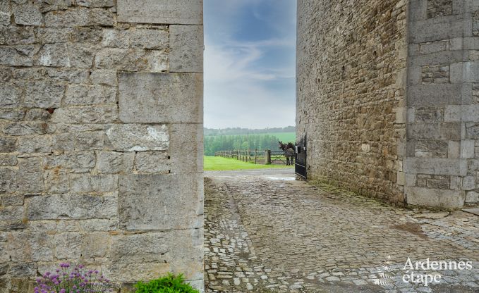 Maison de vacances authentique entirement rnove  Ouffet, Ardenne