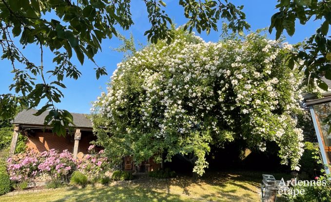 Charmante, maison chien admis  Ouffet, Ardenne