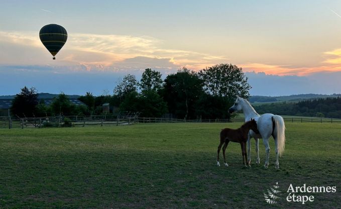Maison de vacances authentique entirement rnove  Ouffet, Ardenne