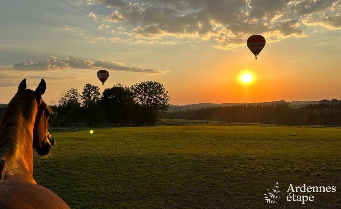 Maison de vacances authentique entirement rnove  Ouffet, Ardenne