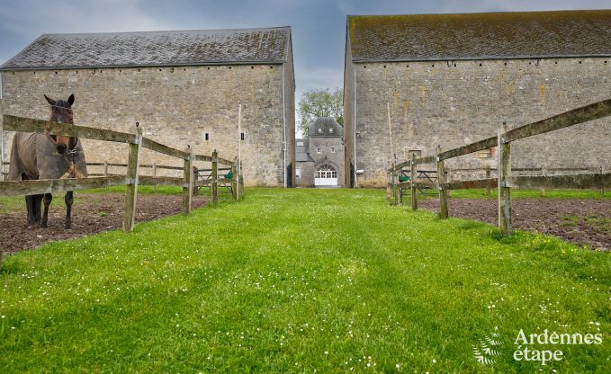 Maison de vacances authentique entirement rnove  Ouffet, Ardenne