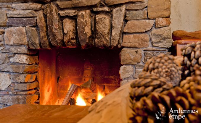 Chalet spacieux  Ovifat, Ardenne, 16 personnes, 8 chambres, 3 salles de bain, sauna, billard, jardin avec terrasse prive