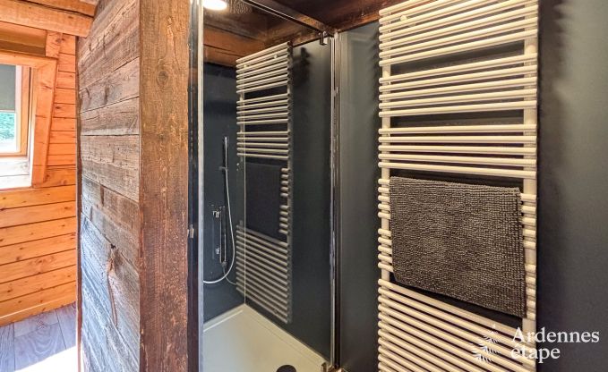 Chalet spacieux  Ovifat, Ardenne, 16 personnes, 8 chambres, 3 salles de bain, sauna, billard, jardin avec terrasse prive