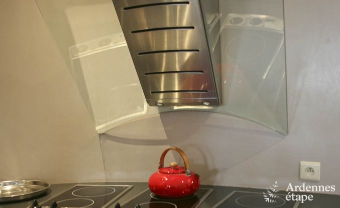 Villa de Luxe � Ovifat pour 18 personnes en Ardenne