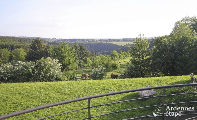 Villa de Luxe � Ovifat pour 18 personnes en Ardenne