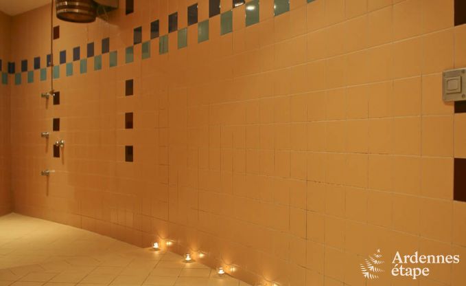 Villa de Luxe � Ovifat pour 18 personnes en Ardenne