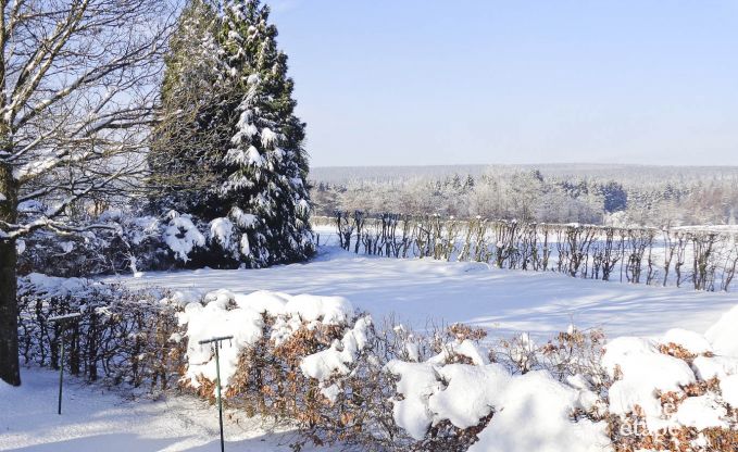 Appartement  Ovifat pour 4 personnes en Ardenne