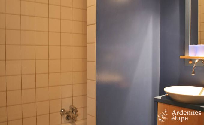 Villa de Luxe � Ovifat pour 18 personnes en Ardenne