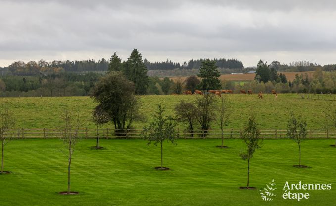 Appartement � Paliseul pour 4/6 personnes en Ardenne