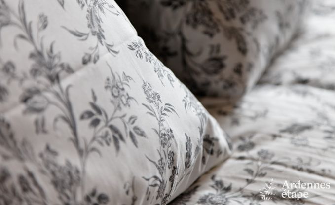 Gite de charme � Paliseul pour 10/12 personnes en Ardenne