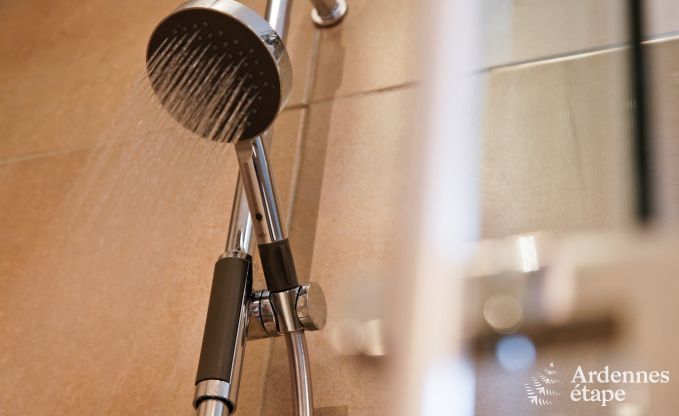 Gite de charme � Paliseul pour 10/12 personnes en Ardenne