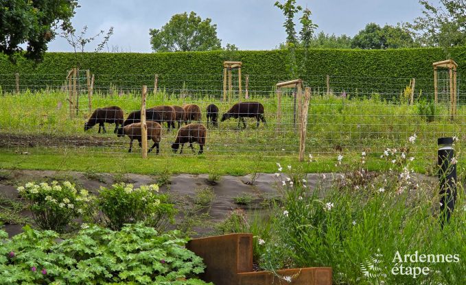 Maison de vacances pour 9 personnes avec sauna et jardin dans le charmant Our, Paliseul