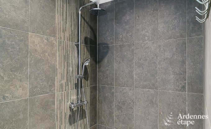 Maison de vacances avec piscine, wellness et de nombreux jeux, � Paliseul pour 28 personnes en Ardenne