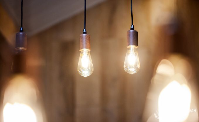 Maison chien admis pour les familles  Paliseul en Ardenne