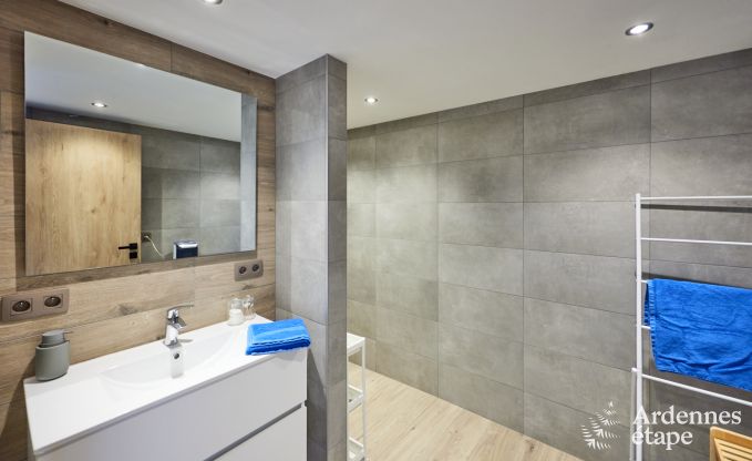 Maison chien admis pour les familles  Paliseul en Ardenne