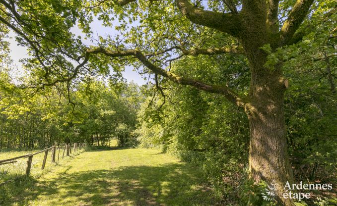 Maison de vacances � Paliseul pour 6/8 personnes en Ardenne