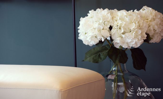 Chaleureuse maison de vacances � Paliseul, Ardenne belge