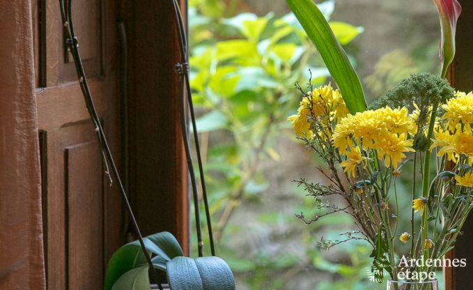 Maison de vacances � Paliseul pour 26/28 personnes en Ardenne