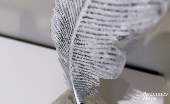 Maison de vacances avec piscine, wellness et jeux � Paliseul pour 14 personnes en Ardenne