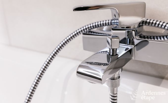 Maison de vacances avec piscine, wellness et jeux � Paliseul pour 14 personnes en Ardenne