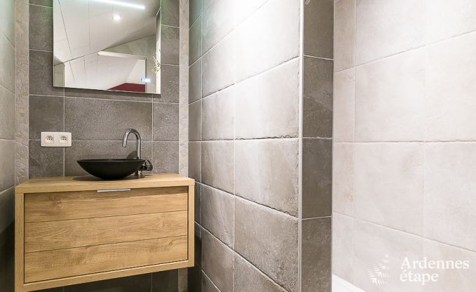 Maison de vacances avec piscine, wellness et jeux � Paliseul pour 14 personnes en Ardenne